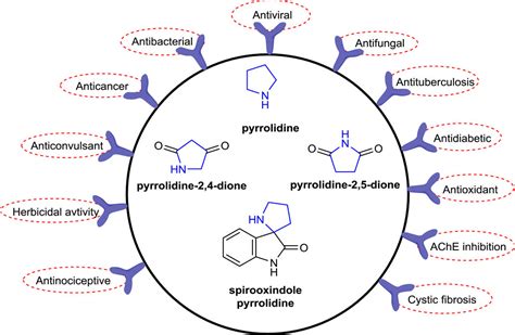 Frontiers Recent Insights About Pyrrolidine Core Skeletons In