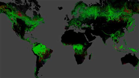 Une carte dévoile l étendue de la déforestation dans le monde