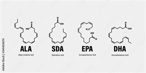 Chemical Structure Of Omega Fatty Acids Stearidonic Acid Sda