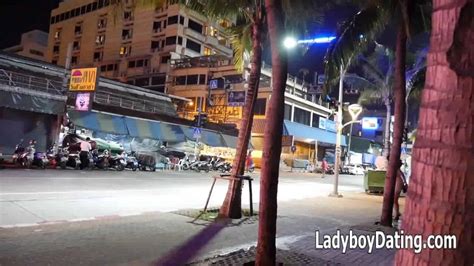 Free Ladyboy Beach Shemale Porn Videos XHamster