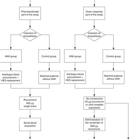 Rocuronium Dose Response Curves In The Acute Normovolaemic