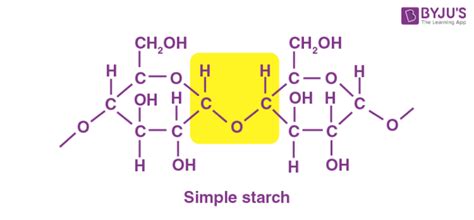 Starch Definition Formula Uses Facts With Examples