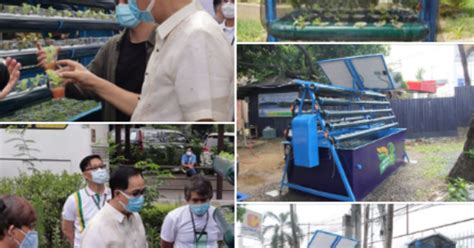 Why Urban Aquaponics Could Help The Philippines Weather Covid 19 The