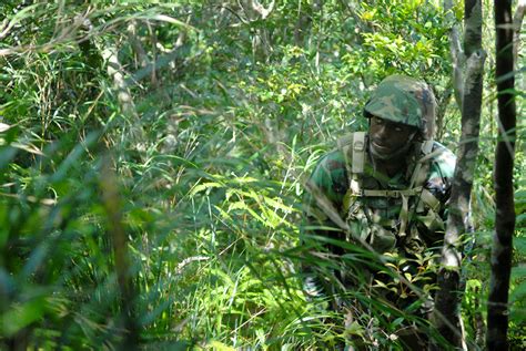 Jungle Warfare Training Us Air Force Article Display