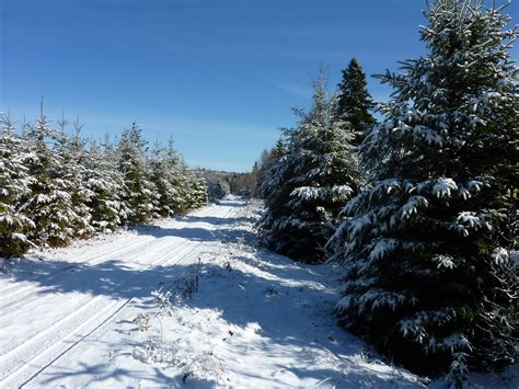 blue winter sky  stock photo public domain pictures