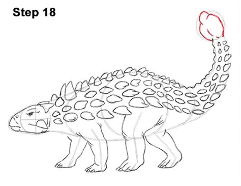 How To Draw An Ankylosaurus