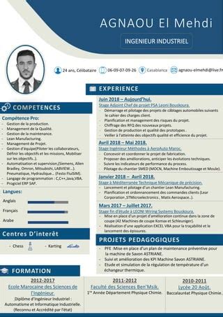 El Mehdi Agnaou Cv Pdf