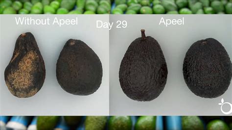 Bill Gates-backed Apeel Sciences makes fruit, avocados last longer