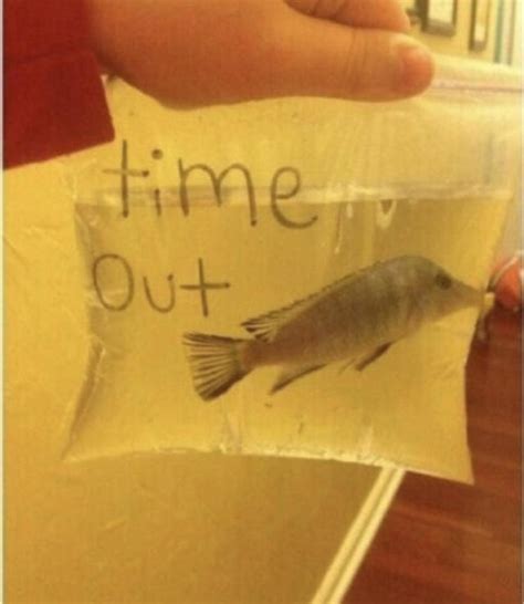 Do You Have Any Cursed Images That Involve Fish I Like Fish They Are