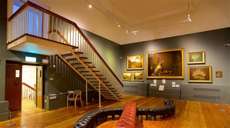 Derby Museum and Art Gallery Tours - Book Now | Expedia