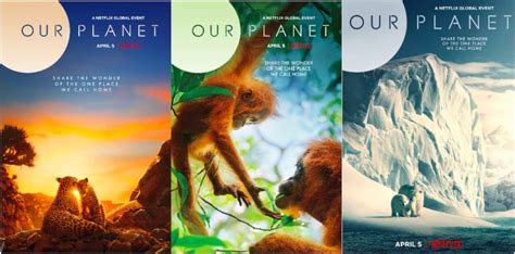 Our Planet Season Release Date And Everything You Need To Know