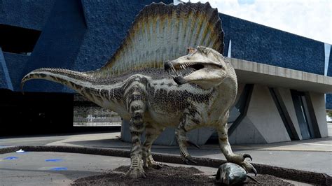 The Mystery Of How Dinosaurs Had Sex Bbc Future