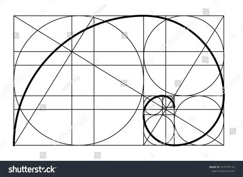 3,646 Fibonacci Shell Images, Stock Photos & Vectors | Shutterstock