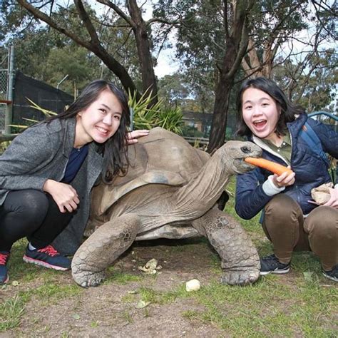 Ballarat Wildlife Park Tickets | Experience Wonders Of Wildlife