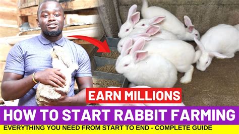 How To Start RABBIT FARMING And Earn Millions In 4 Months Complete