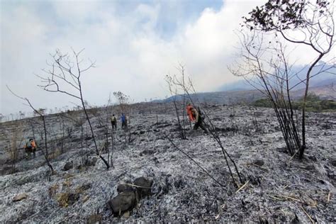 Pendakian Gunung Arjuno Ditutup Akibat Kebakaran Hutan ANTARA News