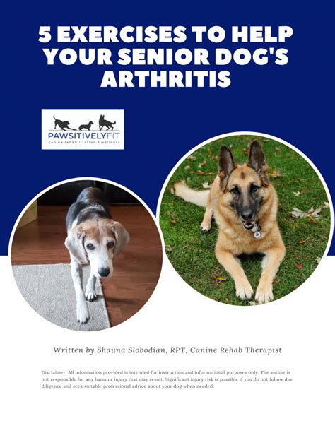 Arthritis Exercise Booklet - Pawsitively Fit Canine Rehabilitation ...