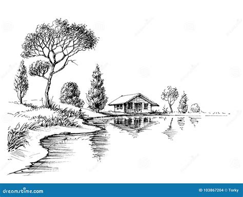 River Bank With Grass, Fir Trees And Bushes Vector Illustration ...