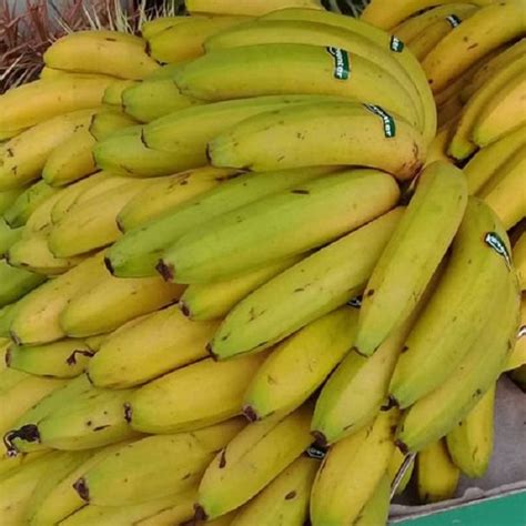 A Grade Fresh Morris Banana Packaging Size 10kgmax At Rs 40kg In