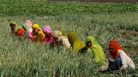 India S Sex Ratio Improved In But Gender Inequality Persists