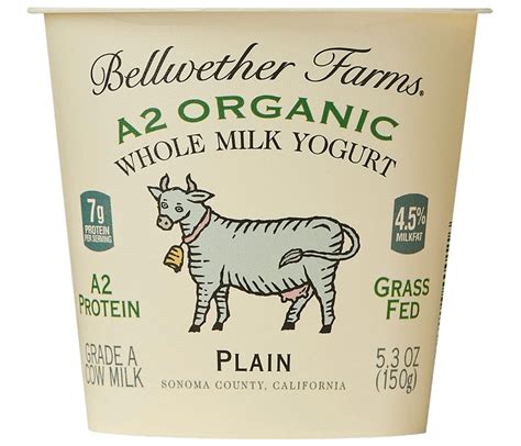 A2 Organic Whole Milk Yogurt - Bellwether Farms