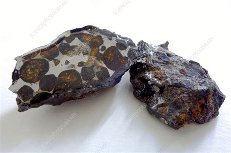 Sericho Pallasite Meteorites Stock Image C0600253 Science Photo