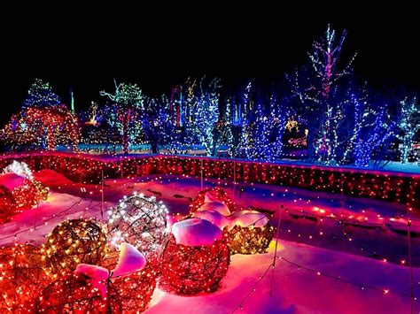 The Best Christmas Light Displays In Every State Gallery