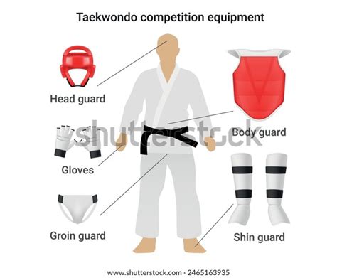 Taekwondo Competition Equipment Infographic Scheme Names Stock Vector ...