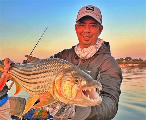 How To Catch African Tigerfish