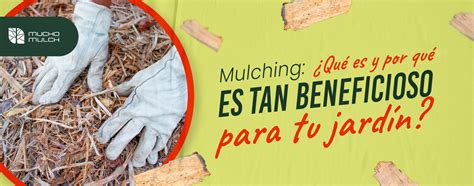 Mulching Qué es y por qué es tan beneficioso para tu jardín Mucho