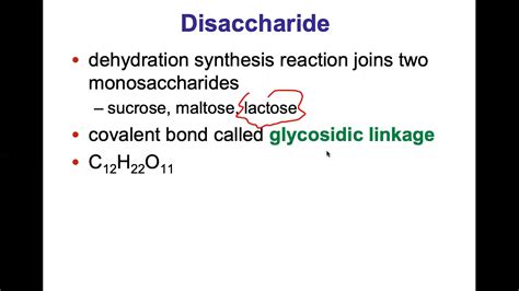 Chapter 5 Carbohydrates Intro Youtube