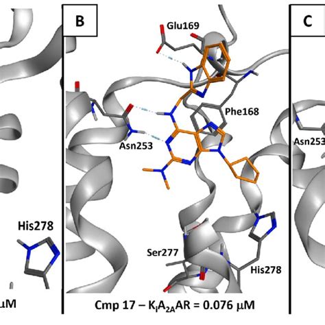 Per-residue decomposition of the protein-ligand interaction energy... | Download Scientific Diagram