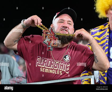 September 3 2023 Florida State Seminoles Fan Reacts After A Touch