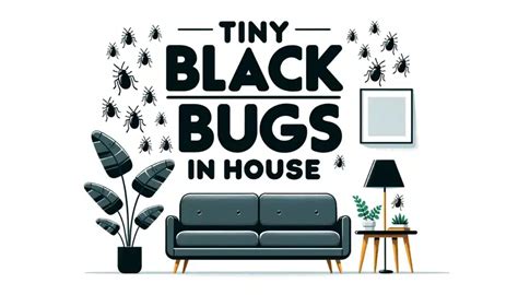 Tiny Black Bugs in House: Identification & Solutions