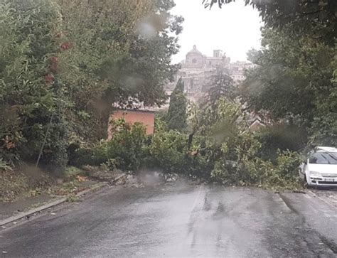 Monte Compatri Caduto Un Albero Su Via Serranti Strada Chiusa Al