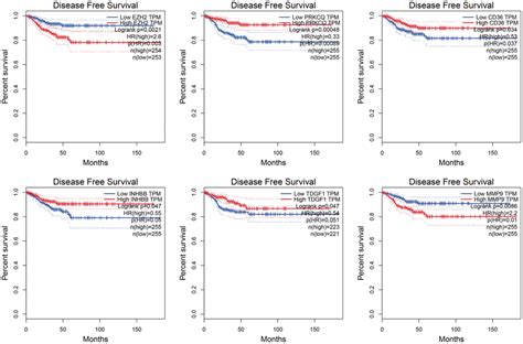 Identification And Validation Of An Anoikis Related Genes Signature For