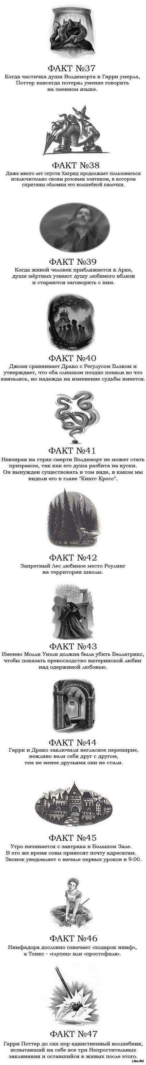 80 фактов Гарри Поттере | Harry potter facts, Harry potter words, Harry ...