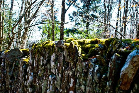 Pradelles Ancienne Mur Pic Du Nore Languedoc Montagne Noir Flickr