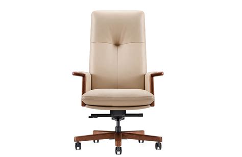 Luxury Office Executive Chair with Arms - Buy luxury office chairs ...