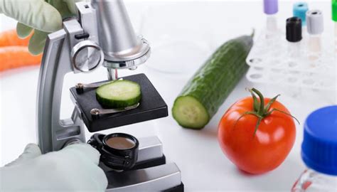 Food Testing Llaboratory In Delhi