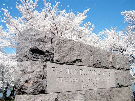 Washington Cherry Blossoms near Franklin Roosevelt Memorial 2010 Stock ...