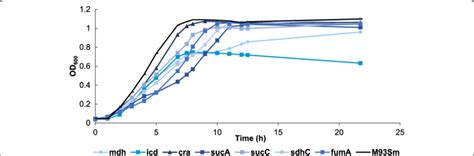 Growth Curves Of Various V Anguillarum Strains Grown In Lb20 At 27 °c