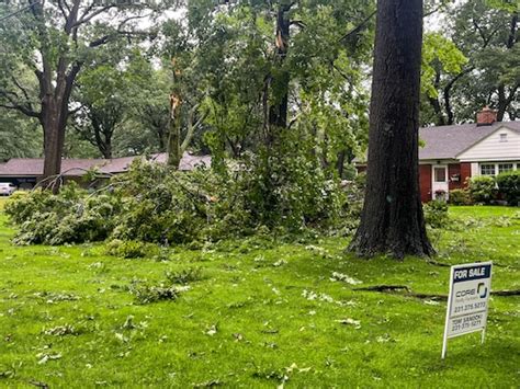 Trees Power Lines Down In Muskegon County After Major Storm