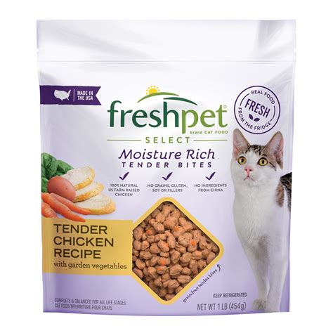 fresh food for cats 5