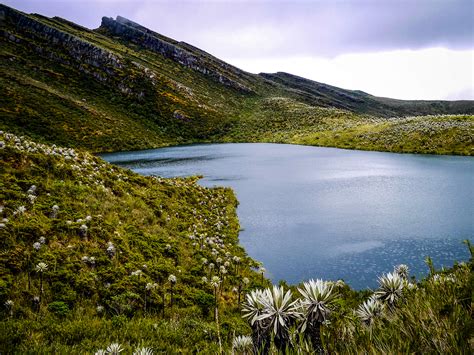 Corredor De P Ramos Un Proyecto Clave Para Ordenar El Territorio En