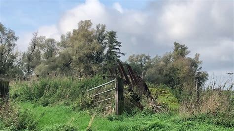 Asperge Versperringen In Babberich Een Zeldzame Youtube