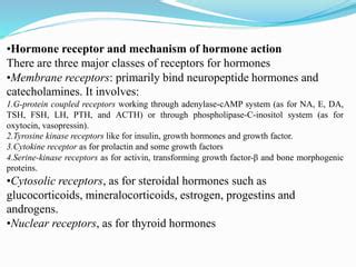 Endocrine system basic-ppt | PPT