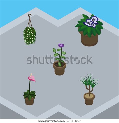 Isometric Plant Set Flowerpot Flower Blossom Stock Vector Royalty Free