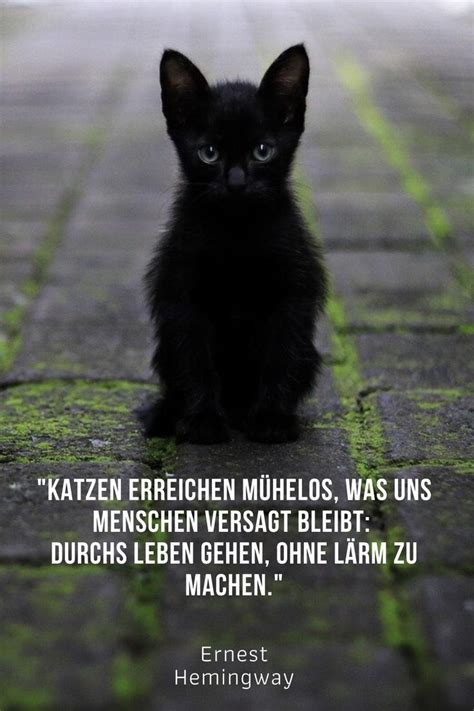 Pin Auf Katzen Zitate Spr Che