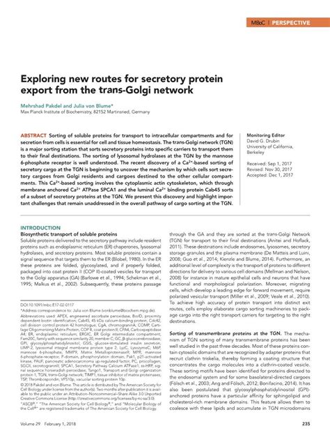 Exploring New Routes For Secretory Protein Export From The Trans Golgi